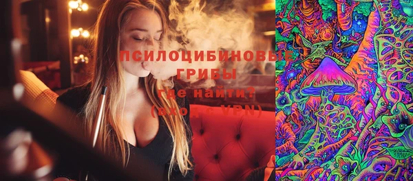 героин Лагань