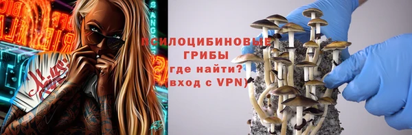 винт Ладушкин