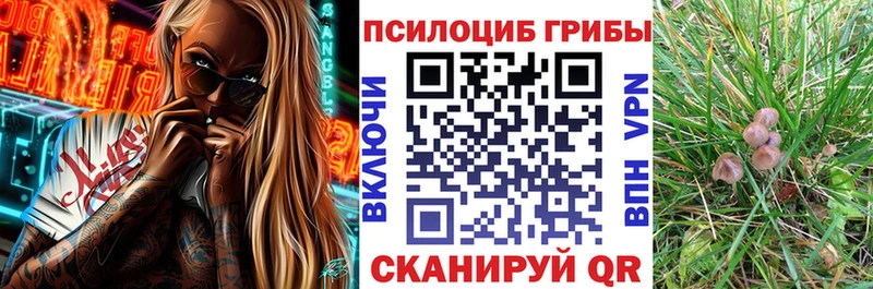 Галлюциногенные грибы Cubensis  Оханск 